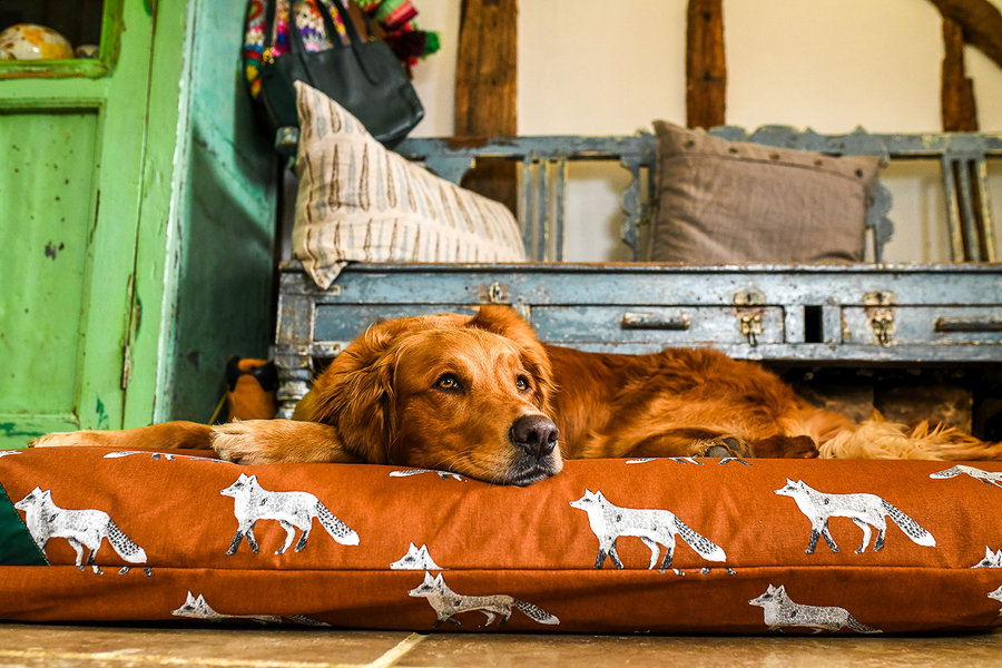 Rustic Fox Cotton Twill Optional Washable Dog Bed Cover Lifestyle Retriever
