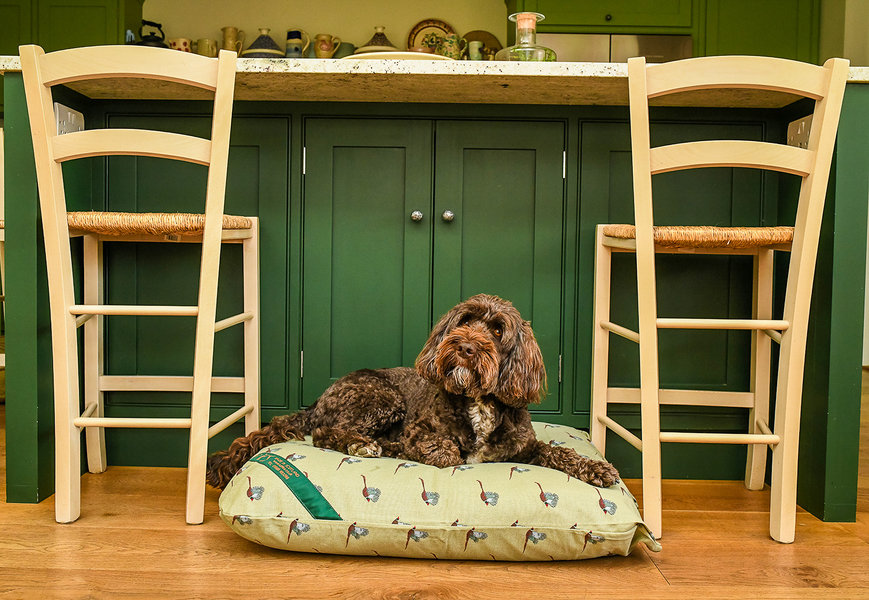 Pheasant Print Cotton Twill Optional Washable Dog Bed Cover Lifestyle Cockapoo