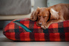 The Luxury Fleece Mattress Dog Bed Cover Thumbnail