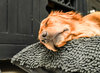Grey Dog Dryer Optional Washable Quick Drying Dog Bed Cover For Wet Muddy Dogs Lifestyle Golden Retriever