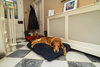 Navy Dog Dryer Optional Washable Quick Drying Dog Bed Cover For Wet Muddy Dogs Lifestyle Golden Retriever