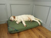 Olive Durasoft Waterproof Orthopaedic Futon Mattress Dog Bed Lifestyle English Setter