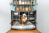 Granite Optional Washable Highland Tartan Mattress Dog Bed Cover Lifestyle British Bulldog