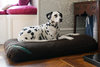 Brown Optional Washable Light Fleece Mattress Dog Bed Cover Lifestyle Dalmation
