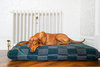 Wild Storm Luxury Fleece Optional Washable Dog Bed Cover Lifestyle Vizsla