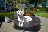 red Swift Washable Raised Dog Bed With Luxury Fleece Liner Lifestyle Golden Labrador
