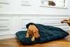 Black Watch Luxury Fleece Washable Tunnel Cave Anti Anxiety Dog Bed Cover Lifestyle Vizsla