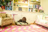 Pheasant Print Cotton Twill Optional Washable Dog Bed Cover Lifestyle Cockapoo