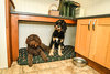 The Twill Mattress Optional Cover Thumbnail
