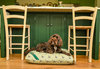 Pheasant Print Cotton Twill Optional Washable Dog Bed Cover Lifestyle Cockapoo