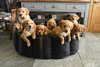 The Wipe Clean Tuffie Nest with Luxury Fleece Thumbnail
