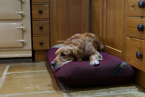 The Wicking Mattress Dog Bed Cover Thumbnail