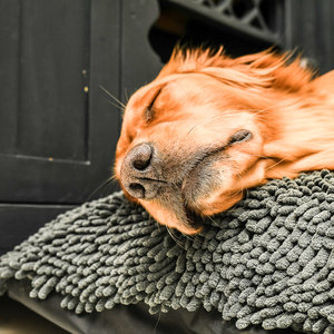 Grey Dog Dryer Optional Washable Quick Drying Dog Bed Cover For Wet Muddy Dogs Lifestyle Golden Retriever