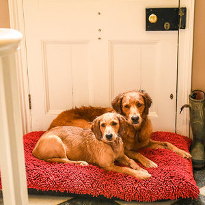 Red Dog Dryer Optional Washable Quick Drying Dog Bed Cover For wet Muddy Dogs Lifestyle Golden Retrievers