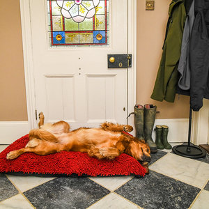 Red Dog Dryer Optional Washable Quick Drying Dog Bed Cover For wet Muddy Dogs Lifestyle Golden Retrievers