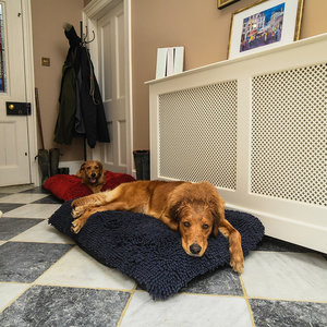 Navy Dog Dryer Optional Washable Quick Drying Dog Bed Cover For Wet Muddy Dogs Lifestyle Golden Retriever
