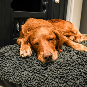 Grey Dog Dryer Optional Washable Quick Drying Dog Bed Cover For Wet Muddy Dogs Lifestyle Golden Retriever