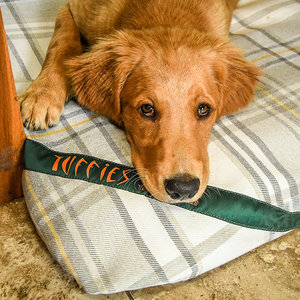 Sprigs Optional Washable Highland Tartan Mattress Dog Bed Cover Lifestyle Golden Retriever