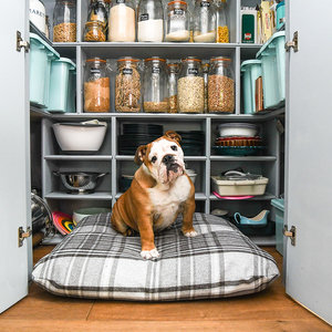 Granite Optional Washable Highland Tartan Mattress Dog Bed Cover Lifestyle British Bulldog
