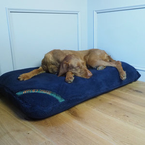 Midnight Navy Luxury Fleece Optional Washable Dog Bed Cover Lifestyle Wire Haired Vizsla