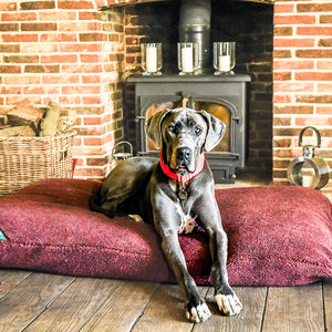 Burgundy Luxury Fleece Optional Washable Dog Bed Cover Lifestyle Great Dane