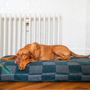 Wild Storm Luxury Fleece Optional Washable Dog Bed Cover Lifestyle Vizsla
