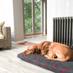 Red Swift luxury Fleece Optional Washable Dog Bed Cover Lifestyle Vizsla