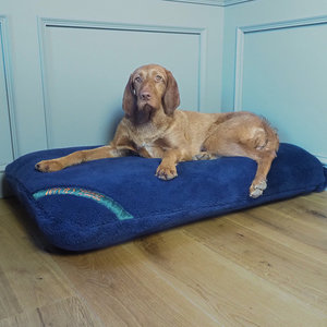 Midnight Navy Luxury Fleece Optional Washable Dog Bed Cover Lifestyle Wire Haired Vizsla