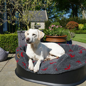 red Swift Washable Raised Dog Bed With Luxury Fleece Liner Lifestyle Golden Labrador