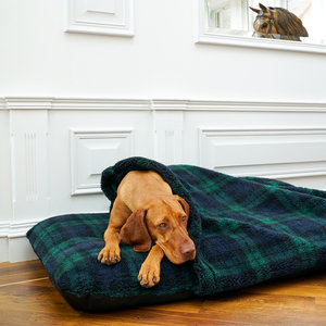 Black Watch Luxury Fleece Washable Tunnel Cave Anti Anxiety Dog Bed Cover Lifestyle Vizsla