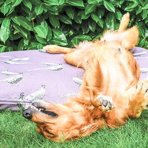 New Pheasant Cotton Twill Optional Washable Dog Bed Cover Lifestyle Cocker Spaniel
