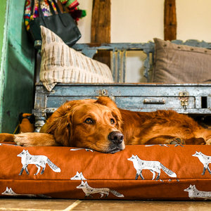 Rustic Fox Cotton Twill Optional Washable Dog Bed Cover Lifestyle Retriever