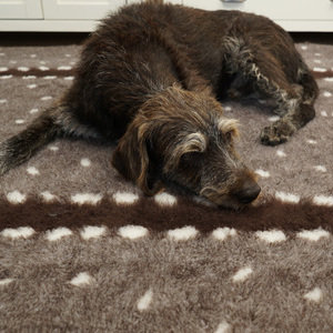 Woolly Pet Bedding in Fallow Deer Pattern Thumbnail