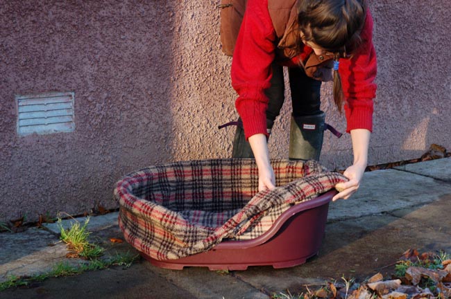 Dog bed with plastic liner hotsell